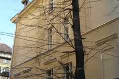 obraz10