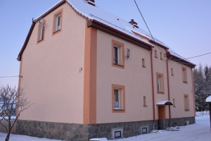 Bor&oacute;wno 19